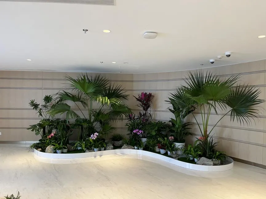 鄞州盆景出租方案大揭秘，满足多样场景需求！